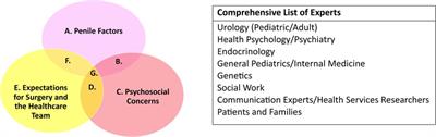 Call the experts: identifying stakeholders in the long-term care of youth with hypospadias